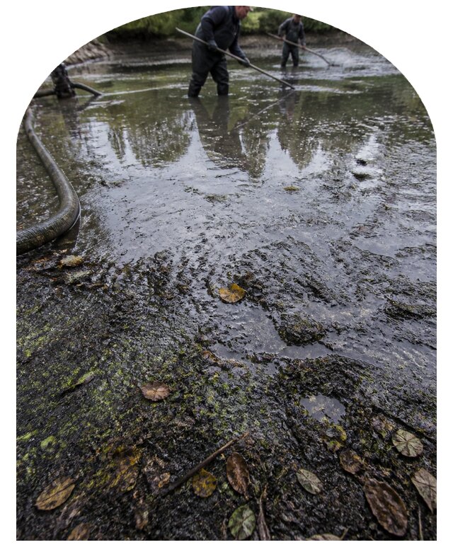 Очистка пруда в Новосибирске от ила мусора и водорослей с вывозом